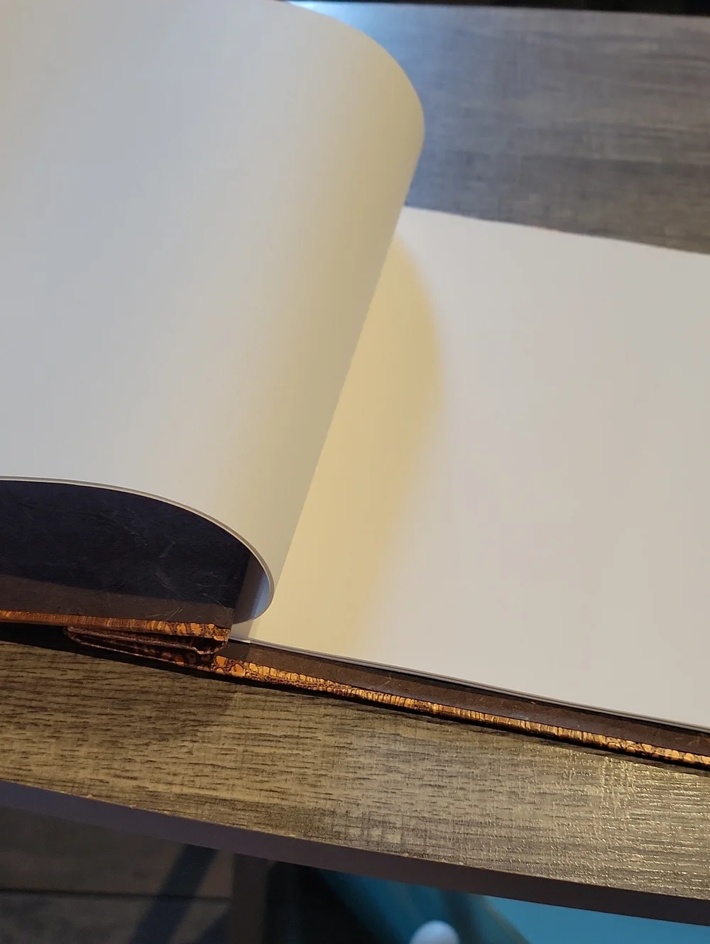 Handmade Pho Album/ Journal Crocodile Skin Cover